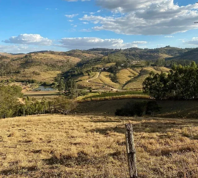 Кафе на зърна THE BARN Los Naranjales 250 г