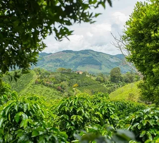 Der kompakte Ratgeber zur Kaffeeauswahl - 66 Seiten