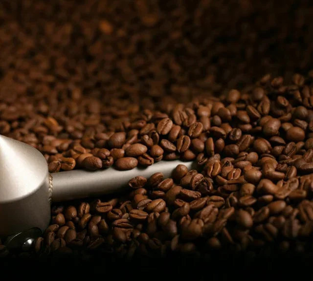 Tonino Lamborghini kafa bez kofeina u zrnu 5kg - za profesionalce