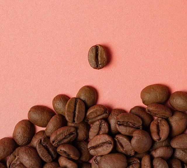 Café em Grão 250g Petal Storm - 1895 COFFEE DESIGNERS BY LAVAZZA