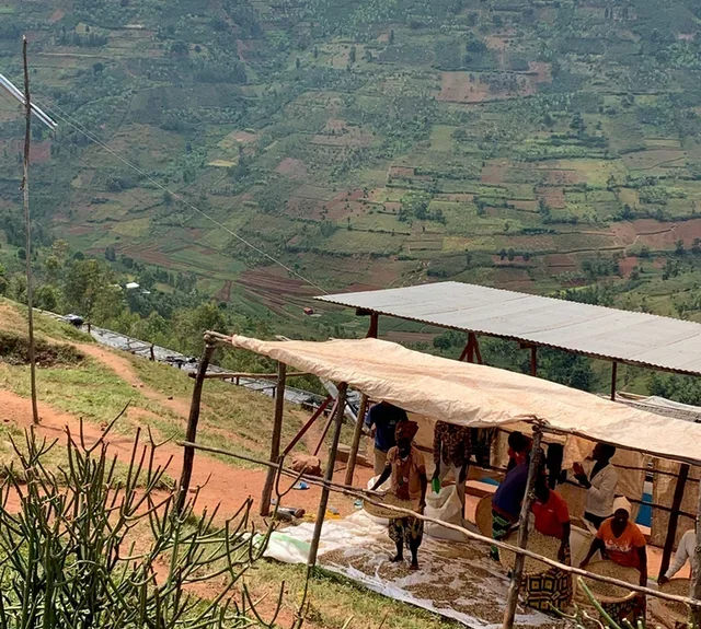 250 g – Pörkölt kávészem – Ruandai Taba Bio – CAFE MOKXA